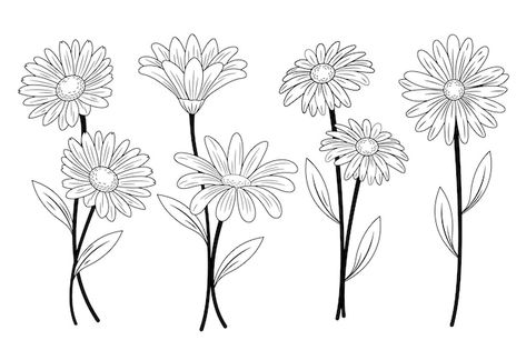 Free vector hand drawn daisy outline ill... | Free Vector #Freepik #freevector #outline #line-art #minimal-illustration #hand-drawn-illustration Daisy Outline, Drawn Daisy, Daisy Drawing, Minimal Illustration, Flower Line Drawings, Outline Illustration, Art Minimal, Outline Drawings, Psd Icon