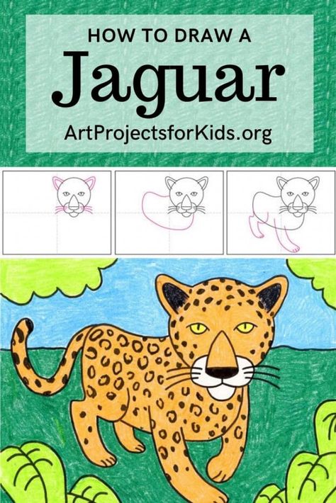 Learn how to draw a Jaguar with this fun and easy art project for kids. Simple step by step tutorial available. #howtodraw #artprojectsforkids #jaguar Jaguar In Jungle, Abc Drawing, Jaguar Habitat, Jaguar Drawing, Direct Drawing, Directed Drawing Kindergarten, Jaguar Art, Students Drawing, Jungle Drawing