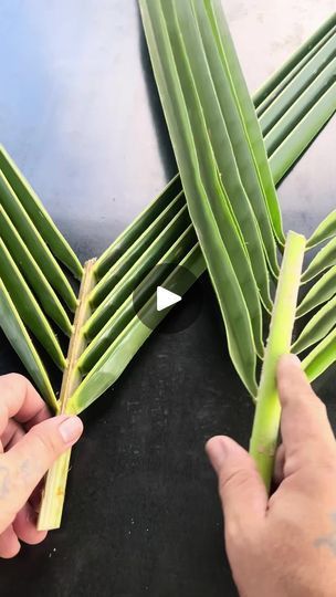 Coconut Leaves Decoration, Coconut Decoration Ideas, Coconut Weaving, Coconut Leaf Craft, Palm Leaves Decor, Palm Tree Crafts, Palm Leaf Decor, Banana Leaf Art, Palm Leaf Art