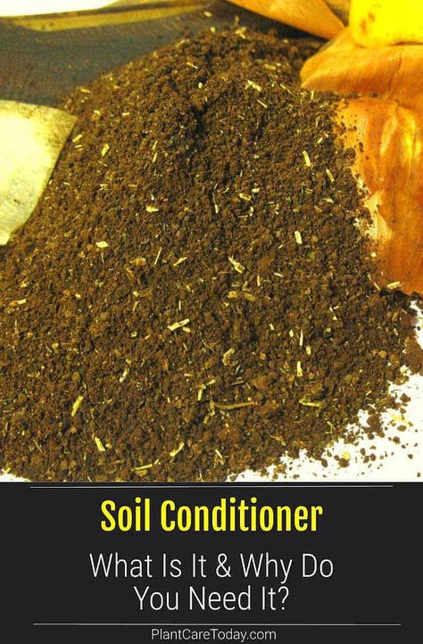 Soil Conditioner: Learn what soil conditioner is, how to tell if your soil needs them, why you need it, and how to use them. Farming 101, Amending Clay Soil, Vegetable Garden Soil, Manure Composting, Garden Hack, Mushroom Compost, Sustainable Homestead, Raised Gardens, Regenerative Farming