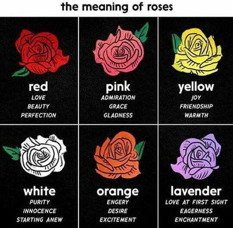 Rose Meaning, Flower Meanings, Nothing But Flowers, Color Meanings, Language Of Flowers, Pretty Plants, Flowers Nature, Useful Life Hacks, Rose Color