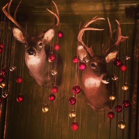 Christmas Decorated Antlers, Deer Head Decor Christmas, Hannah House, Deer Mount Decor, Deer Decorations, Deer Mount Ideas, Deer Hunting Decor, Christmas Deer Decorations, Deer Head Decor