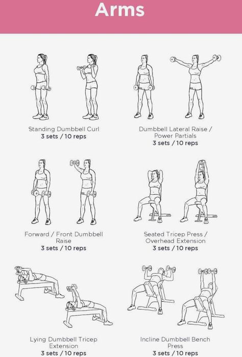 Arm Routine Gym, Beginner Training Program, Workout Programs With Weights, Weighted Arm Exercises, Gym Session Plan, Workout Plans With Weights, Work Outs For Women Gym, Pots Workout Plan, Basic Weight Training For Women