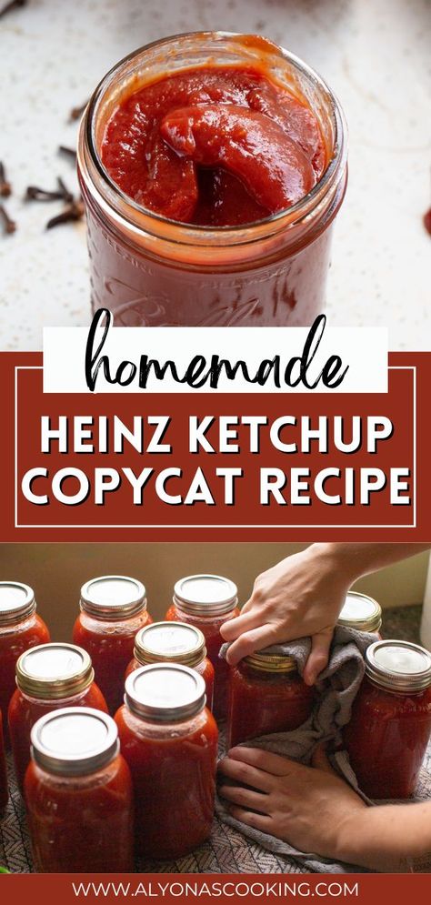 Canned Ketchup, Homemade Ketchup Recipes, Ketchup Recipe, Homemade Ketchup, Home Canning Recipes, Canning Vegetables, Heinz Ketchup, Homemade Pantry, Canning Food Preservation