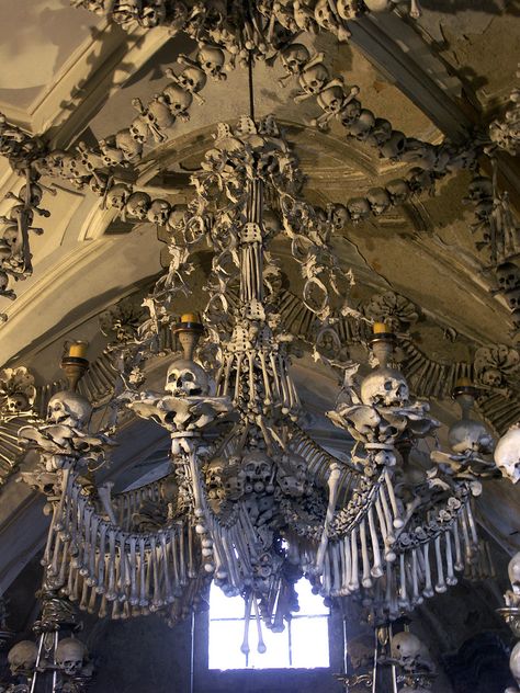 Sedlec Ossuary, Human Bones, Vulture Culture, Danse Macabre, Bone Art, The Czech Republic, Skull And Bones, Memento Mori, Graveyard