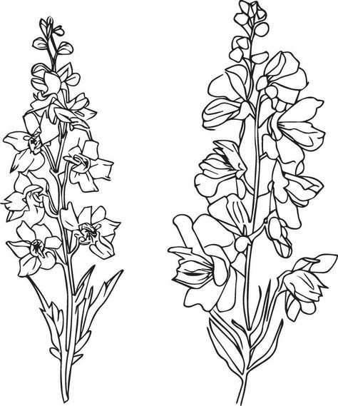 Flower Stem Drawing, Delphinium Flower Drawing, Larkspur Drawing, July Birth Flower Larkspur, Larkspur Delphinium, Larkspur Tattoo, Delphinium Flower, Xmas Flowers, July Birth Flower