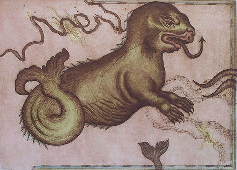 Celestial Menagerie – Tallmadge Doyle Cosmic Dragon, Ocean Projects, Greek Sea, Dragon Fish, Ancient Mesopotamia, Sea Monster, Eugene Oregon, A Whale, Mythical Creatures Art