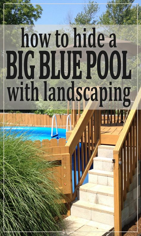 Photos of one homeowner's experience making a cheap blue pool blend in to a serene backyard. Small Above Ground Pool, Inground Pool Landscaping, Cheap Pool, Above Ground Pool Ideas, Ground Pool Ideas, Pool Landscape Design, Above Ground Pool Landscaping, Above Ground Pool Decks, Blue Pool