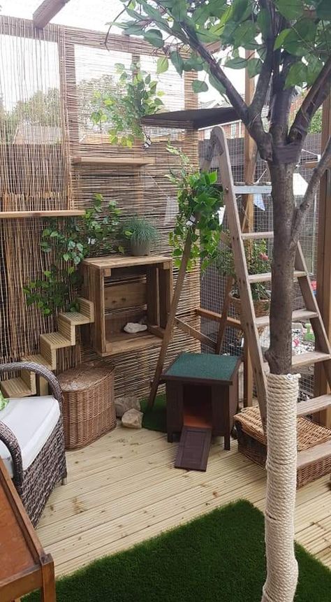 Luxury Catio Cats, Small Catio Ideas Cat, Diy Cat Patio, Cat Obstacle Course, Cat Room Outdoor, Catio Patio, Catio Ideas Cat, Cat Shed, Cattery Ideas