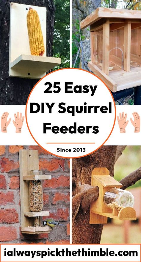 Squirrel Houses Diy, How To Make A Squirrel Feeder, Diy Squirrel Cage, Squirrel Home Diy, Easy Diy Bird Feeder Homemade, How To Build A Squirrel Feeder, Squrriel House Ideas, Squirrel Feeder Ideas, Diy Squirrel Feeder Easy