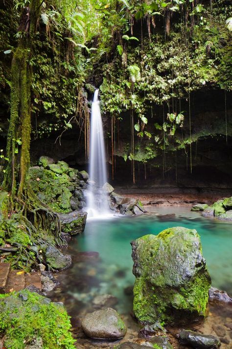 Tiny island of Dominica is the Caribbean's best kept holiday secret - Mirror Online Tiny Island, Koh Chang, Ao Nang, Island Destinations, Island Holiday, Desert Island, Caribbean Travel, Island Vibes, Koh Tao