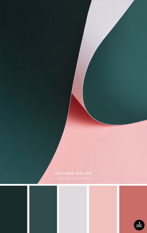 a paper-photograph-inspired color palette // hunter green, gray, dusty pink, antique rose // photo by Axel Oswith Sincere Color Palette, Dark Branding Color Palette, Pink And Dark Green Color Palette, Dark Green Pink Color Palette, Pink Green Black Bedroom, Lively Color Palette, Colour Palette Dark Green, Pink Green Black Color Palette, Inspiring Color Palette