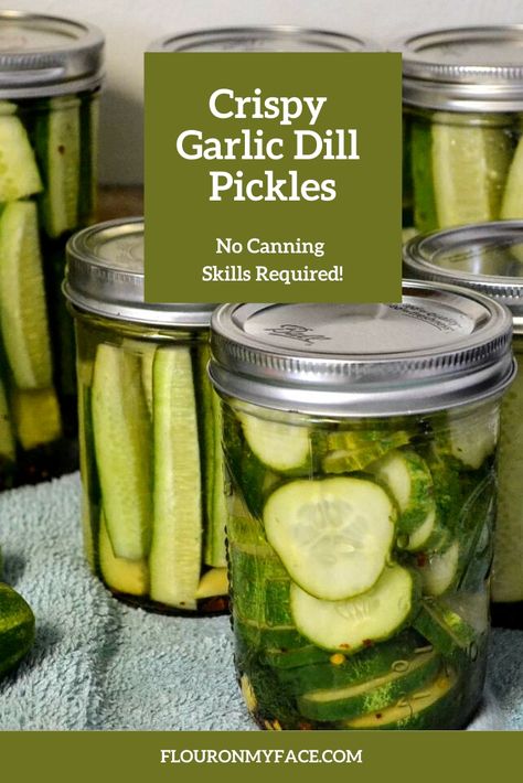 Pickles Refrigerator, Crispy Dill Pickles, Pickles Homemade Easy, Canning Pickles Recipe, Almond Flour Bread Recipes, Refrigerator Dill Pickles, Making Dill Pickles, Refrigerator Pickles Dill, Garlic Dill Pickles