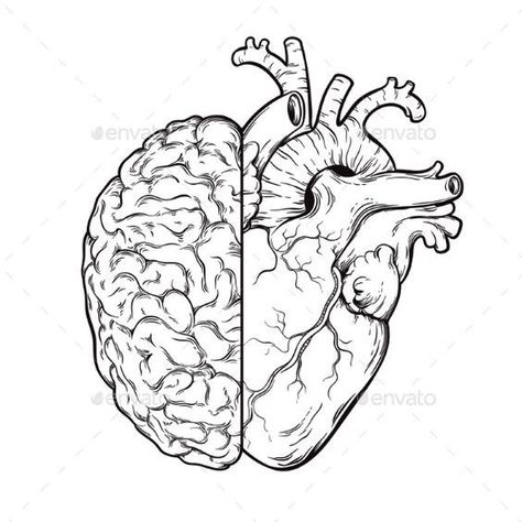 Brain Drawing, Brain Tattoo, Heart And Brain, Art Du Croquis, Desen Realist, Tattoo Zeichnungen, Brain Art, Siluete Umane, Brain And Heart