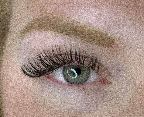 Classic Eyelash Extensions, Extension Styles, Wet Set, Lash Extensions Styles, C Curl, Lash Extension, Lash Extensions, Eyelash Extensions, Eyelashes