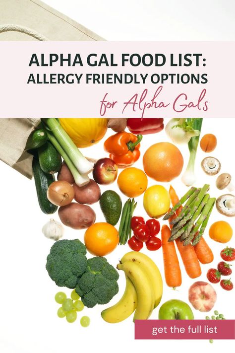 This alpha gal food list details the raw ingredients that are safe for people with alpha-gal syndrome to enjoy. Alpha-gal syndrome is a tick-borne food allergy. People with alpha gal are allergic to mammalian meat which is why it's often called the red meat allergy. Some alpha gal safe foods include fruits and vegetables, beans and legumes, eggs, poultry, fish, and seafood -- but you can get the full list by clicking through to the article! Beans And Legumes, Alpha Gal, Macro Meals, Food Allergy, Food List, Healthy Eating Recipes, Side Recipes, Plant Based Protein, Red Meat