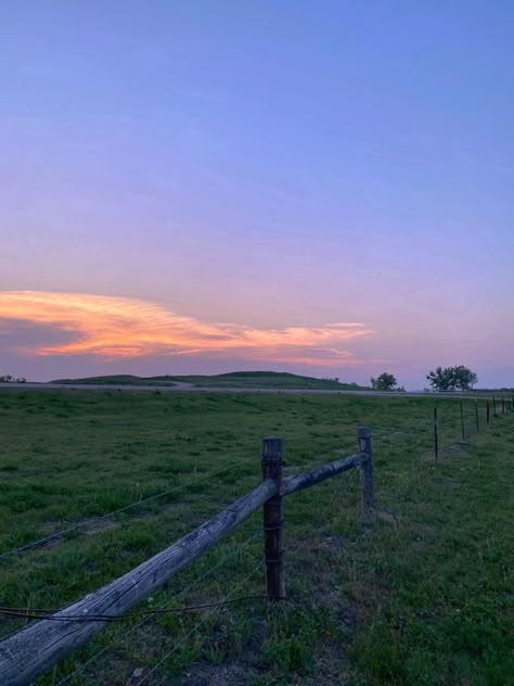 South Dakota Wildflowers, South Dakota Aesthetic, Badlands Aesthetic, Dakota Aesthetic, South Park Aesthetic, North Dakota Badlands, Midwest Gothic, Badlands South Dakota, American Stuff