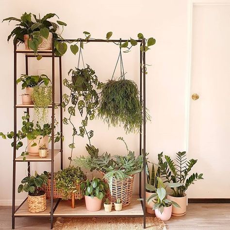 The Warehouse on Instagram: “Garment rack or plant stand? Either way, we're in love 💚🌱🙌 @plantprojectnz” Plant Stand Apartment, Plant Stand Ideas Indoor Living Rooms, Clothes Rack Plant Stand, Industrial Plant Stand, Clothing Rack Plants, Plant Stands For Large Plants, Renter Friendly Plant Display, Hanging Plant Stand Indoor, Wall Plant Stand