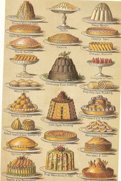 Victorian Gel- Cookery Victorian Recipes, Victorian Cakes, Piskel Art, Household Management, Food History, Illustration Food, Vintage Cookbooks, Victorian Christmas, Food Drawing