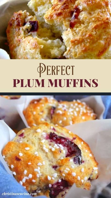 Plum Oat Muffins, Plum Muffins Healthy, What To Make With Fresh Plums, Plum Muffins Recipe, What To Make With Plums, Plum Recipes Dinner, Dried Plum Recipes, Plum Muffins, Plum Dessert