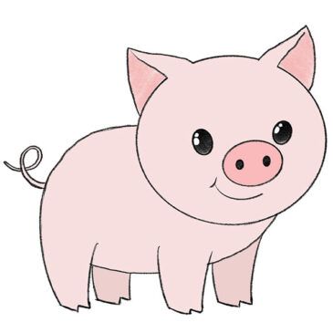 How to Draw a Pig Pig Face Drawing, Pigs Drawing, Pig Drawing Easy, Piglet Drawing, Pig Outline, Draw Dog, Pig Sketch, Easy Animal Drawings, Pig Pictures