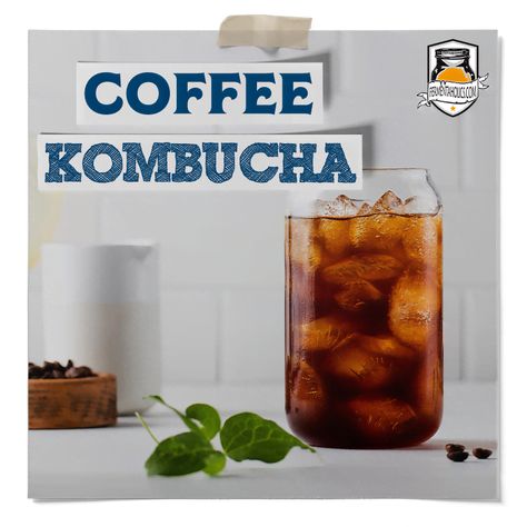 Learn how to make coffee kombucha. Caffeine & probiotics combine in coffee kombucha. Taste your two favorite flavors using this recipe! How To Make Kombucha Step By Step, Flavored Kombucha Recipe, Kombucha Flavors Recipes, Kombucha Recipes, Best Kombucha, Coffee Kombucha, Diy Smoothies, Fermented Drinks, Kombucha Flavors