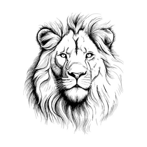 Hand drawn lion outline illustration vec... | Premium Vector #Freepik #vector #sketch #hand-doodle #hand-drawing #hand-drawn-sketch Lion Head Drawing Sketches, Lion Outline, Lion Head Drawing, Dragon Heads, Abstract Lion, Lion Sketch, Black And White Lion, Lion Vector, Grunge Tattoo