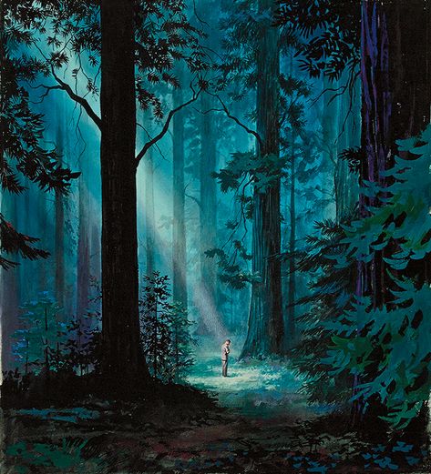 HECTOR GARRIDO A ray of light in the forest Forest Book, Forest Drawing, Ray Of Light, Book Cover Illustration, Forest Illustration, Mystical Forest, Fantasy Forest, Forest Painting, Forest Art