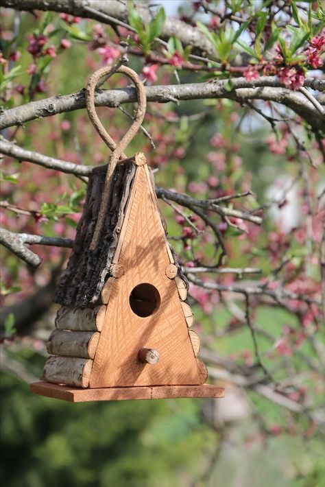 Diy Bird Box Ideas, Cool Birdhouse Designs, Diy Bird House Easy, Bird House Feeder Birdhouse Designs, Home Made Bird Houses, Birdhouse Diy Ideas, A Frame Birdhouse, Cool Birdhouses, Wood Birdhouses Diy