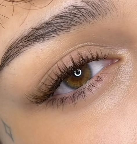 Short Brown Lash Extensions, Dainty Eyelash Extensions, Natural Eyelash Extensions Almond Eyes, Brown Natural Eyelash Extensions, Natural Fake Lashes Extensions, Lashes Small Eyes, Super Natural Eyelash Extensions, Dark Brown Eyelash Extensions, Wispy Lashes Natural