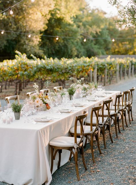 Outdoor winery wedding reception with floral tablescape + rustic wooden chairs at Calistoga Ranch in Calistoga, California. Brought to life by Photographer- Rebecca Yale Photography, Florist- Lambert Floral Studio and Planner- Callista & Company. Al Fresco Dinner, Wedding In California, California Wine Country, Wine Country Wedding, Wine Country California, Wedding Inside, California Wine, Country Wedding Dresses, Floral Studio