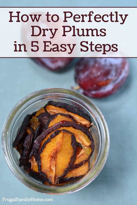 How To Dry Plums, How To Dehydrate Plums, How To Make Prunes From Plums, Dehydrating Plums In Dehydrator, Drying Plums In Dehydrator, Dehydrated Plums In Dehydrator, Dry Plums Recipes, Prune Plums Recipes, Freeze Dried Plums