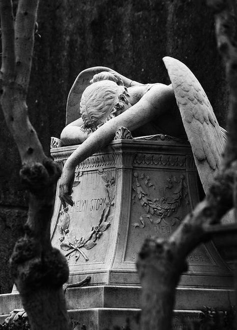 Angel statue with her head down Istoria Artei, Angel Statue, Cemetery Art, Slytherin Aesthetic, Tapeta Galaxie, Art Classique, Animale Rare, Angel Statues, Arte Obscura