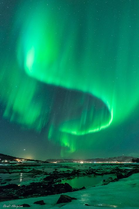 Aurora Norway Northern Lights, Norway In March, Arura Borialis, Aurora Borealis Aesthetic, Norway Aurora Borealis, Norway Lights, Northern Lights Aesthetic, Traveller Aesthetic, Northen Light