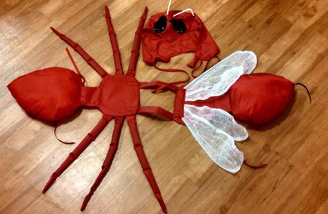 Earth Costume, Ant Costume, Halloween Costume Black, Kids Halloween Costume, Red Ant, Black Ants, Costumes Kids, Book Week Costume, Head Ties