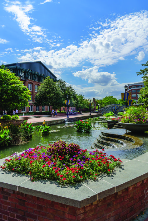 Splash into Summer in Frederick, Maryland Downtown Frederick Maryland, Mid Atlantic Aesthetic, Maryland Aesthetic, Baltimore Trip, Maryland Summer, Maryland Photography, Hagerstown Maryland, Frederick Maryland, National Road