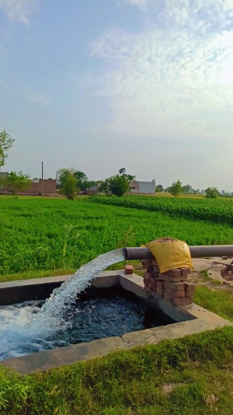 Irrigation System in Punjab's Villages by using Turbine (Motor) to irrigate the crops | Village Life | Nature | Aesthetics Views | Farming Village Life Pakistan Pictures, Village Morning Snapchat, Village Pics In Pakistan, Aesthetic Village Pictures, Village Morning Snap, Pind Village Snap, Beautiful Villages Nature, Village Landscape Photography Nature, Punjab Village Photography