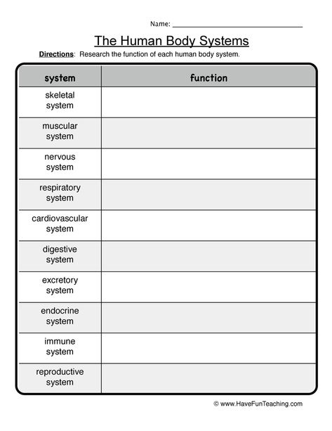 Human Body Systems Worksheet Human Body Systems Worksheets, Teaching Body Systems, Medical Interpreter, Body Systems Project, Human Body Lesson, Body Systems Worksheets, Human Body Worksheets, Human Body Projects, Free Human Body