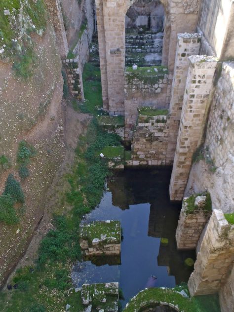 pools of bethesda | The Holy Land & I : Pool of Bethesda Pool Of Bethesda, Bible Help, Bible References, Biblical Archaeology, Bethesda Fountain, Terra Santa, Empty Road, Bible History, Bible Pictures