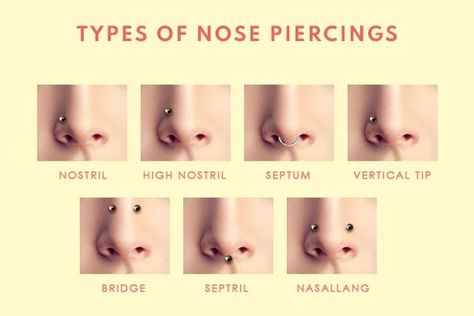 Can a Lawyer Have a Nose Piercing? A lot of people are wondering can a lawyer have a nose piercing. The answer is yes, they can! Lawyers are just like any other professionals when it comes to piercings. Nasallang Piercing, High Nostril Piercing, Different Types Of Piercings, Upper Lip Piercing, Nose Types, Bridge Piercing, Surface Piercing, Face Piercings, Nose Piercings