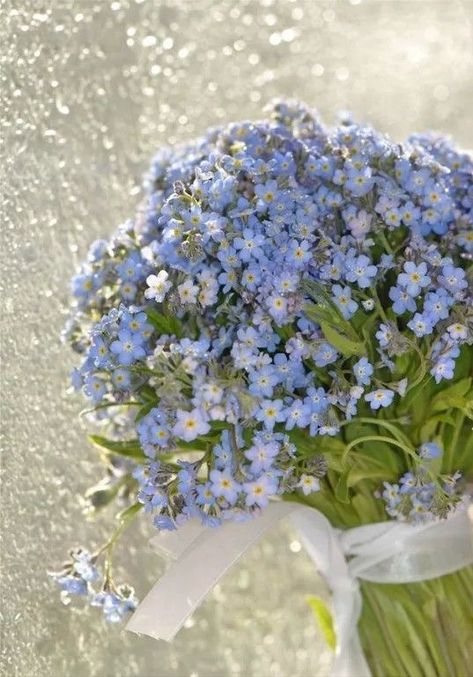 Forget Me Nots Flowers, Floral Trends, Nothing But Flowers, Flower Therapy, Beautiful Bouquet Of Flowers, Beautiful Bouquet, Forget Me Not, Love Flowers, My Flower