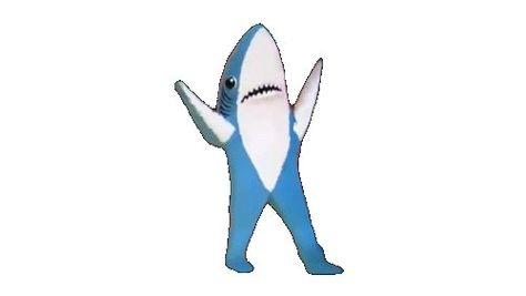 Shark Gif, Shark Meme, Left Shark, Dancing Gif, 8k Wallpaper, Pet Fox, Stiles Stilinski, White Sharks, Great White Shark