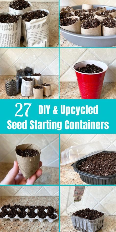 Diy Seed Starter Pots, Diy Plant Starter Containers, Diy Plant Starters, Indoor Plant Starter Seed Starting, Diy Seed Planter, Herb Seed Starting, Seed Container Ideas, Potting Up Seedlings, Starting Seedlings Indoors