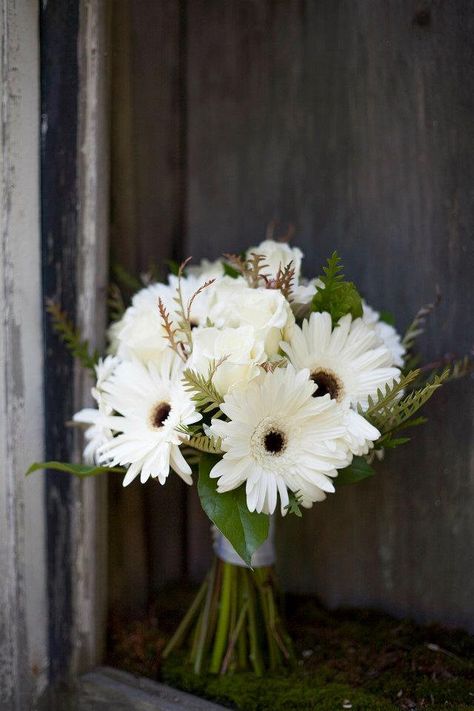 Gerbera Wedding, Gerbera Daisy Bouquet, Gerbera Bouquet, Daisy Wedding Flowers, Daisy Wedding, Daisy Bouquet, Gerber Daisies, White Wedding Bouquets, Growing Roses