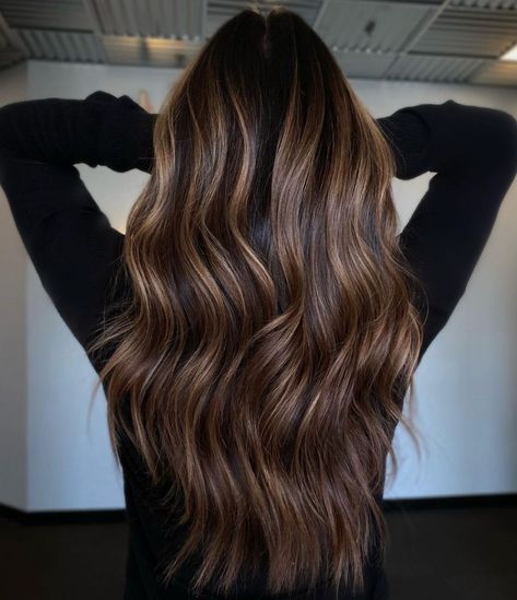 Bronze Brown Balayage for Dark Hair Bronze Highlights On Dark Hair, Dark Winter Hair Color, Bronze Balayage, Balayage On Black Hair, Black Hair Ideas, Balage Hair, Highlights On Dark Hair, Ash Balayage, Purple Hair Highlights