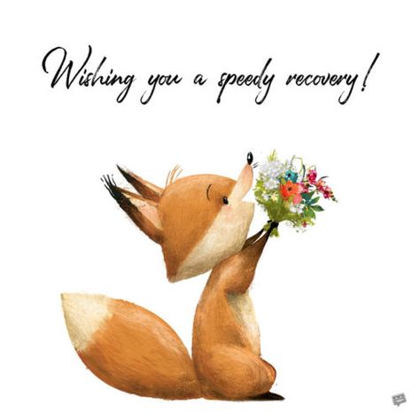 Get well soon image to wish a beloved person a speedy recovery. Get Well Soon Images, Get Well Soon Quotes, Get Well Messages, Book Furniture, Speedy Recovery, Get Well Wishes, Miyagi, Vinyl Paper, Cute Fox