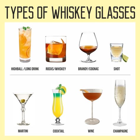 Wondering which glass for which drink? Check out the list of correct types of glassware will help you to make each different drink better. Type Of Liquor, Different Types Of Drinks, Types Of Glasses Drinks, Basic Bar Drinks, Different Types Of Alcohol, Types Of Cocktail Glasses, Types Of Whiskey, Glasses For Drinks, Bartending Basics