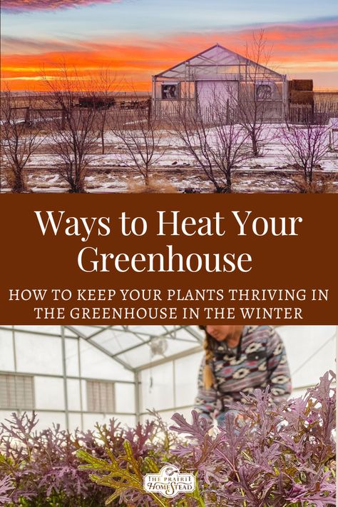 Ways to Heat Your Greenhouse in the Winter Homesteading In Winter, How To Heat A Greenhouse For Free, Winter Proof Greenhouse, Canadian Winter Greenhouse, Heat Greenhouse No Electricity, Cold Climate Greenhouse, Heating A Greenhouse Without Electricity, Greenhouse Heating Ideas, Heating Greenhouse