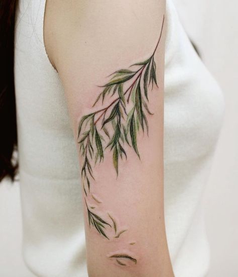 Tattoo Weeping Willow, Weeping Willow Tree Branch Tattoo, Wishbone Tattoo Placement, Weeping Willow Tattoo Sleeve, Delicate Tree Tattoos For Women, Willow Tree Branch Drawing, Shoulder Foliage Tattoo, Willow Branches Tattoo, Willow Tree Shoulder Tattoo