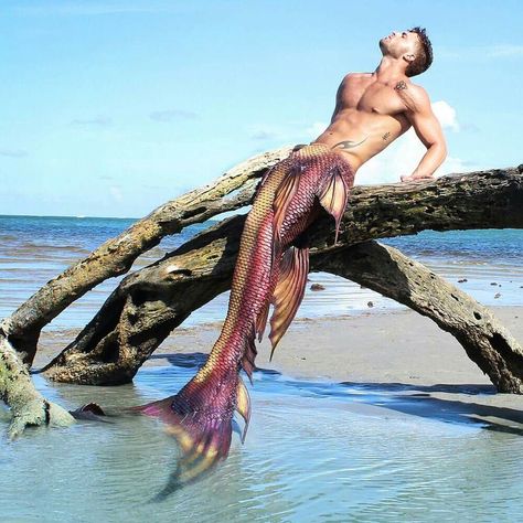 Male Mermaid, Mermaid Stories, Mermaid Photography, Mermaid Man, Fantasy Mermaids, Unicorns And Mermaids, Mermaid Drawings, Real Mermaids, Mermaid Tale